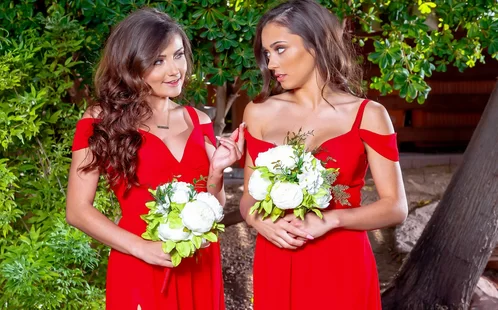 Невесты изменяют прямо на свадьбах: 3000 отборных порно видео